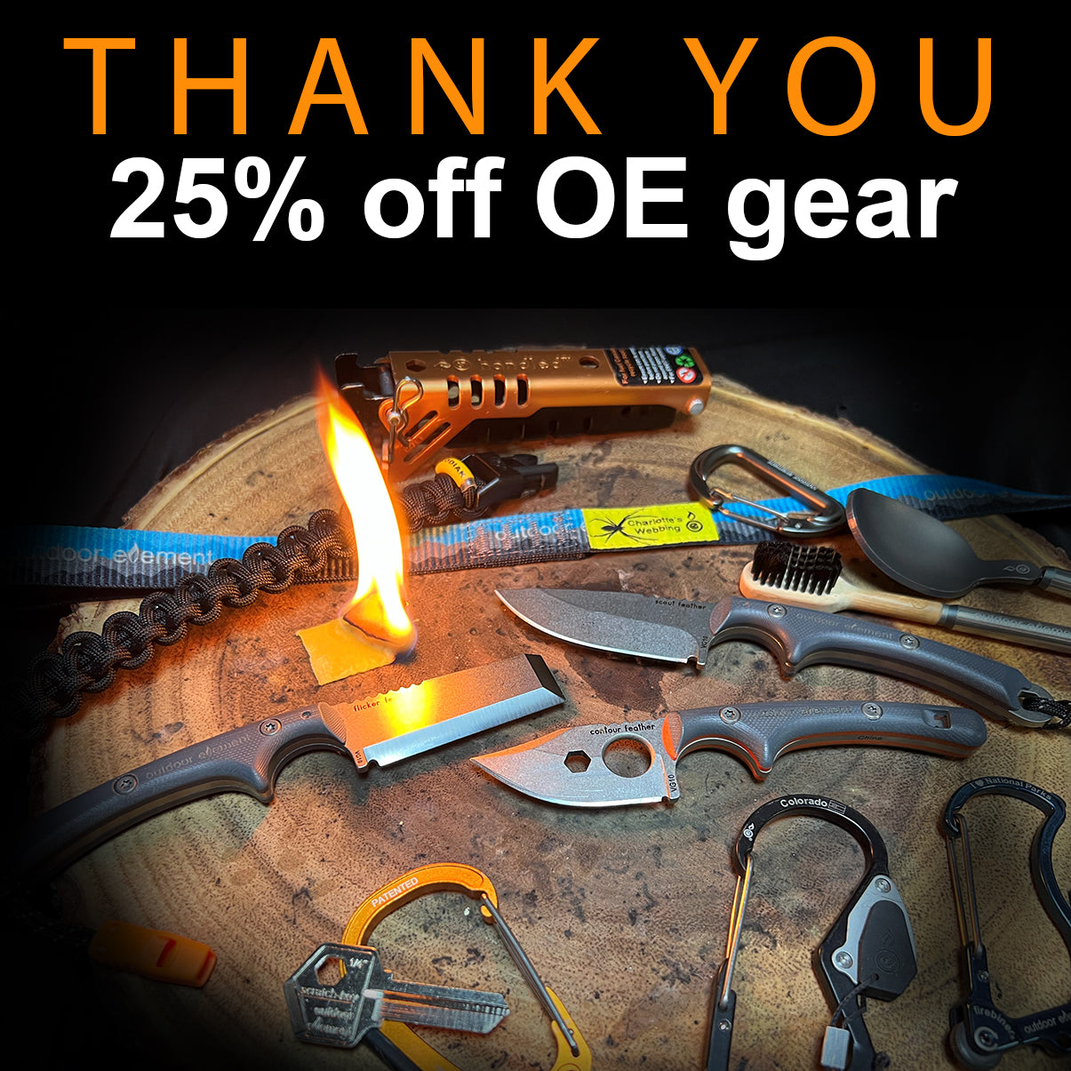 Thank you! Take 25% off regularly priced OE gear