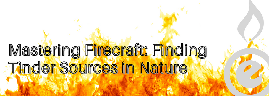Mastering Firecraft: Finding Tinder Sources in Nature