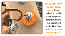 Load image into Gallery viewer, Sparky &amp; Scratch Key

